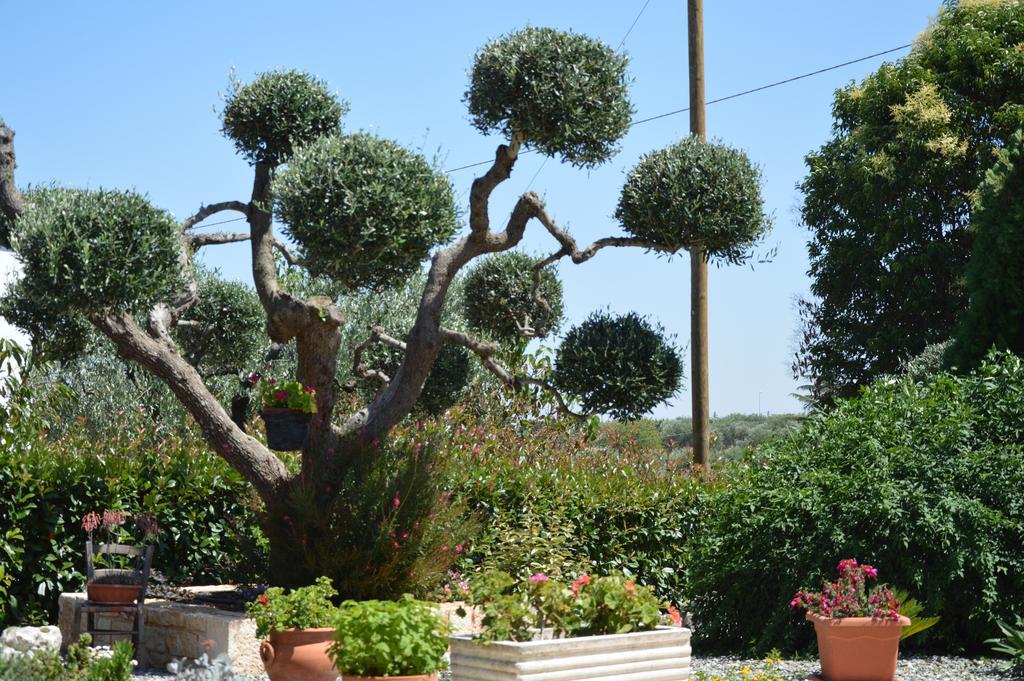 Bed and Breakfast Casa delle Rondini Alberobello Esterno foto