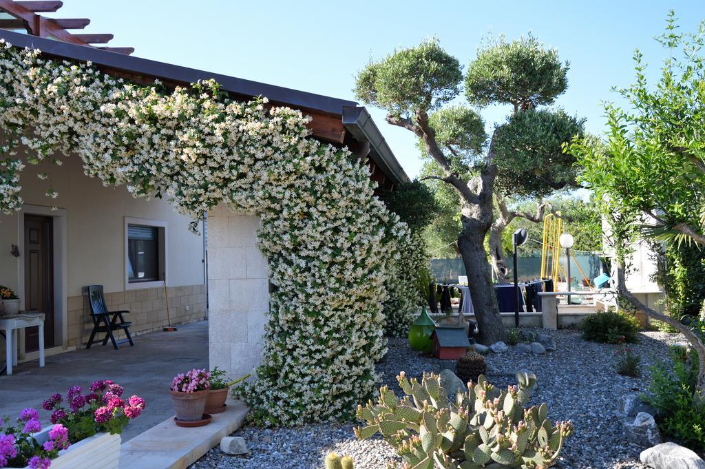 Bed and Breakfast Casa delle Rondini Alberobello Esterno foto