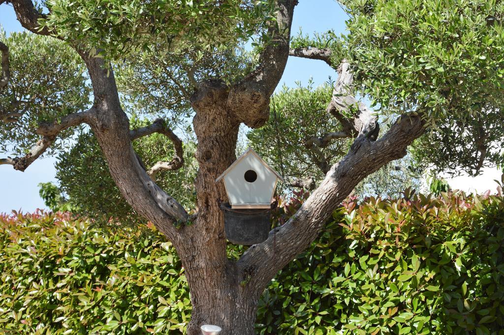 Bed and Breakfast Casa delle Rondini Alberobello Esterno foto